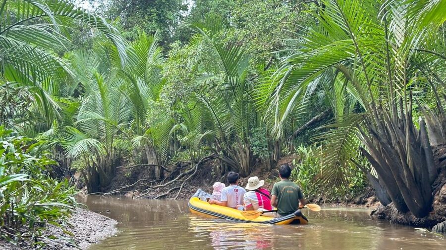 Khao Lak: Elephant Sanctuary Visit and Mangrove Kayak Tour - Should you book this Khao Lak tour?