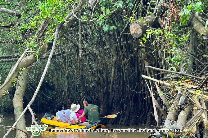Khao Lak: Elephant Sanctuary Visit and Mangrove Kayak Tour - Two very different sides of Phang Nga Province