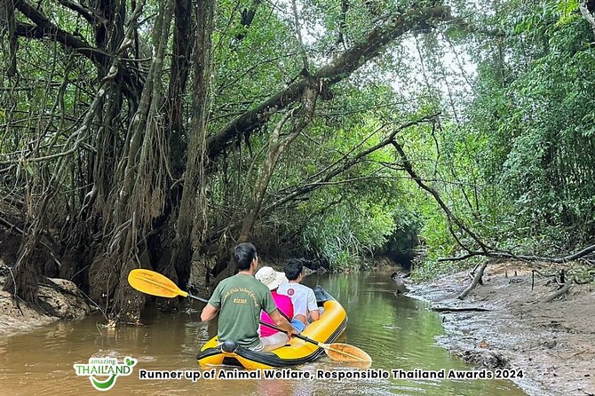 Khao Lak: Elephant Sanctuary Visit and Mangrove Kayak Tour - Meeting elephants in a free-roaming setting