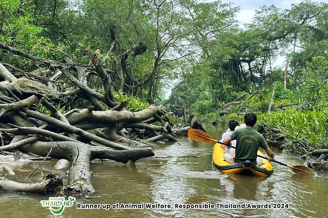 Khao Lak: Elephant Sanctuary Visit and Mangrove Kayak Tour - Group size, pace, and practical comfort