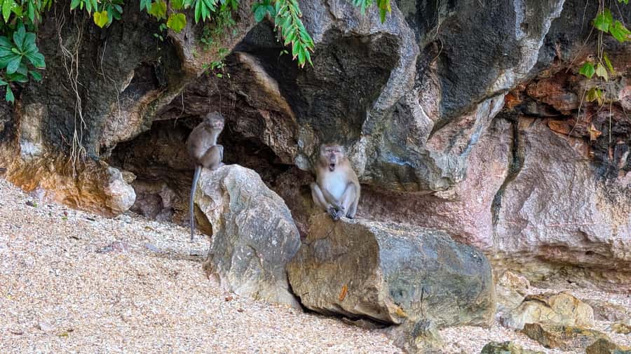 Khao Lak: James Bond & Panyi Day Tour with Canoeing & Lunch - Food, drinks, and what to pack