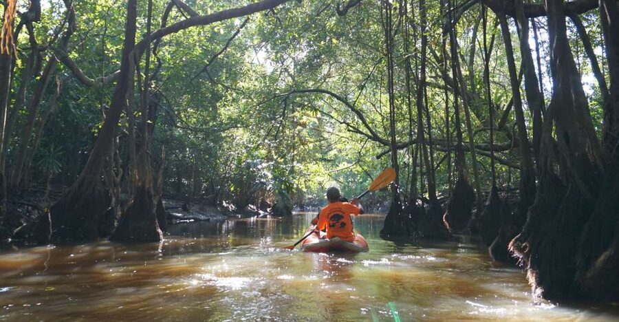 Khao Lak: Little Amazon Canoe Ride & Tam Nang Waterfall Tour - Key points to know before booking