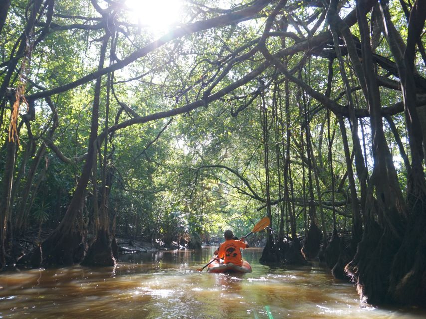 Khao Lak: Little Amazon Canoe Ride & Tam Nang Waterfall Tour - Should you pay $61 for this tour?