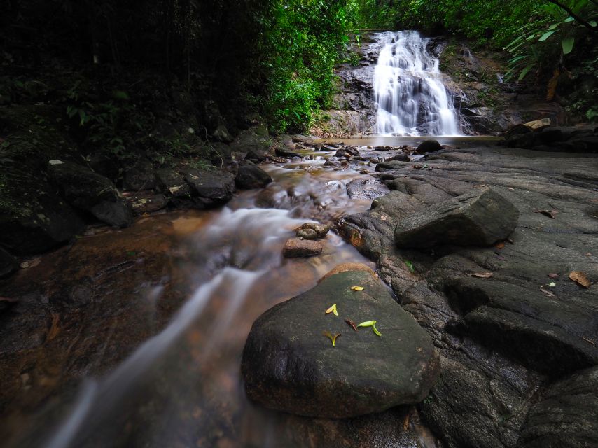 Khao Lak: Little Amazon Canoe Ride & Tam Nang Waterfall Tour - Why this half-day combines so much nature