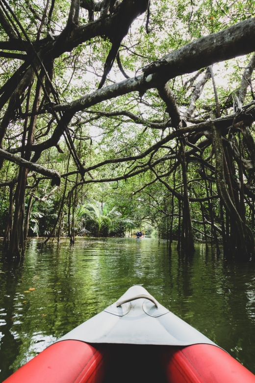 Khao Lak: Little Amazon Canoe Ride & Tam Nang Waterfall Tour - Guides, drivers, and the value of a small group
