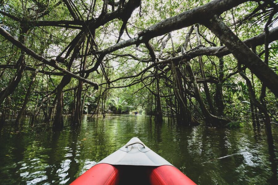 Khao Lak: Little Amazon Canoe Ride & Tam Nang Waterfall Tour - What to pack and who will enjoy it