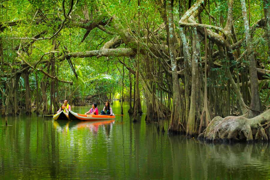 Khao Lak's Little Amazon: Canoe, Trek & Waterfall Day Trip - A soft walk through Si Phang-Nga National Park