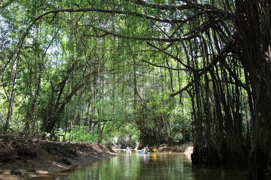 Khao Lak: Sri Phang Nga Canoe and Tam Nang Waterfall Tour - Walking into Sri Phang Nga National Park