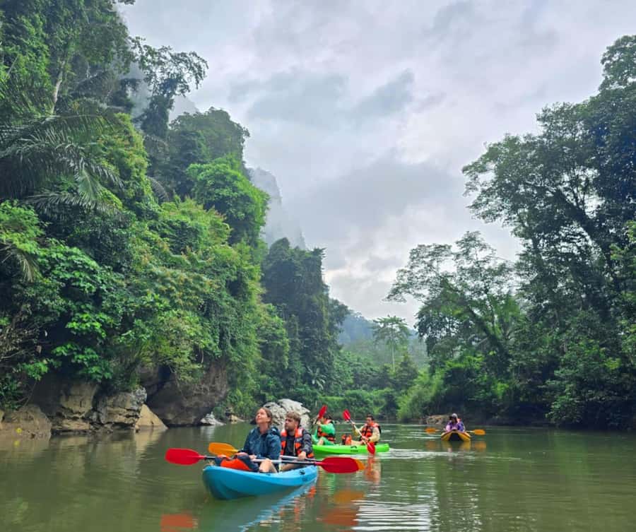 Khao Sok Park: Jungle Kayak Adventure & Wildlife Tour - A quiet paddle through the Khlong Sok countryside