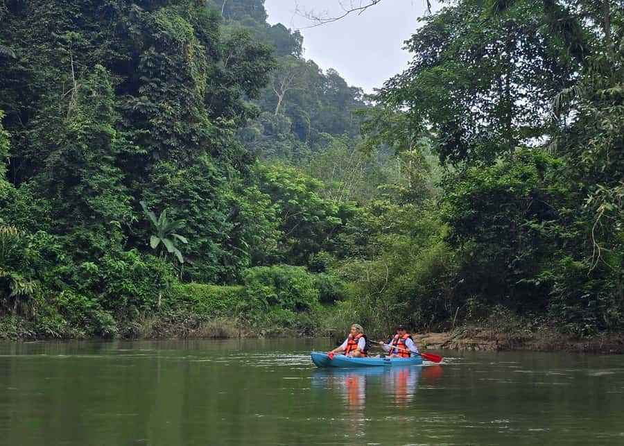 Khao Sok Park: Jungle Kayak Adventure & Wildlife Tour - A coffee and fruit pause breaks up the paddle