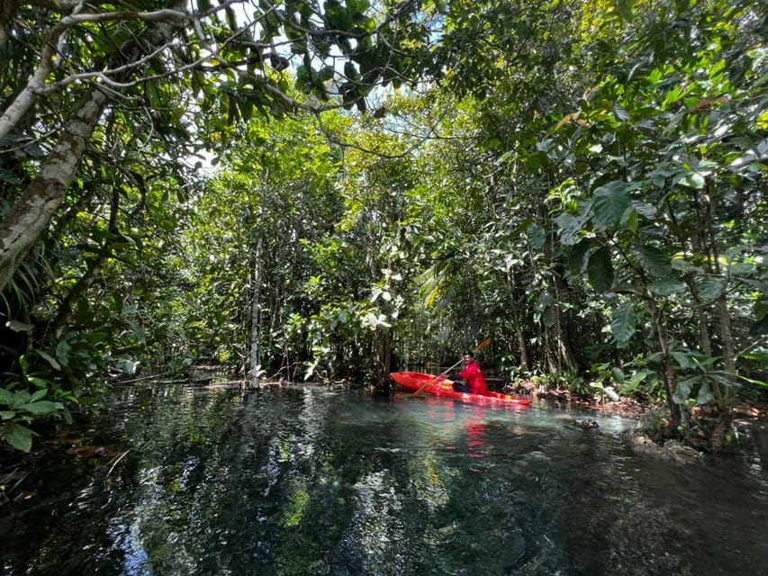 Klong Rud Kayaking with Hotel Transfer - The swim is refreshing but not expansive