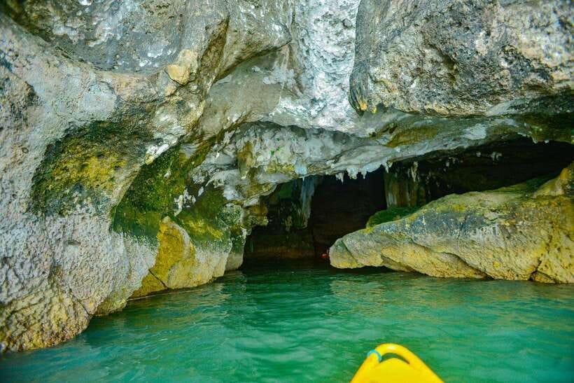 Ko Lanta: Full-Day Mangrove and Sea Cave Kayaking Experience - What the $49 price covers