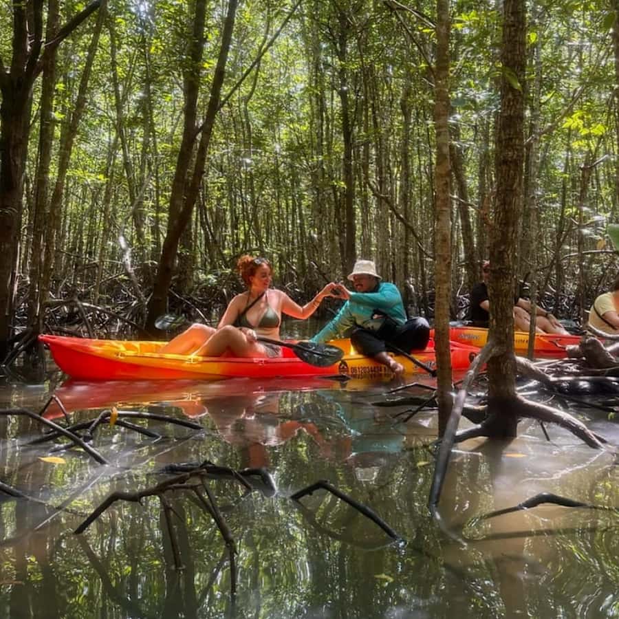 Ko Lanta: HALF DAY EXPLORE MANGROVE KAYAKING TOUR AND LUNCH - Key points to know before booking