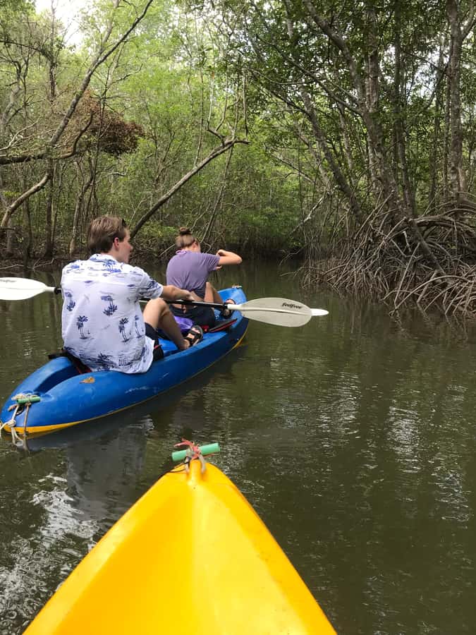 Ko Lanta: HALF DAY EXPLORE MANGROVE KAYAKING TOUR AND LUNCH - Kayaking through the mangrove channels