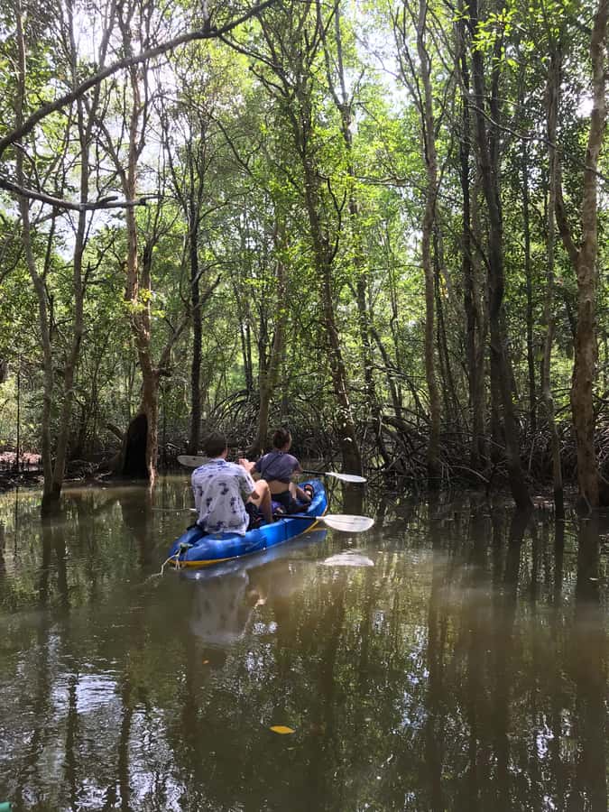 Ko Lanta: HALF DAY EXPLORE MANGROVE KAYAKING TOUR AND LUNCH - Village life and the working coast