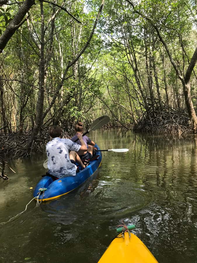 Ko Lanta: HALF DAY EXPLORE MANGROVE KAYAKING TOUR AND LUNCH - How long the outing takes