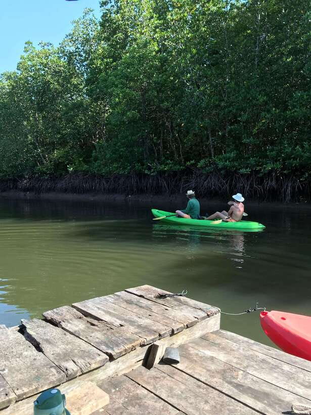 Ko Lanta: Half-Day Mangrove Kayaking Tour with Lunch - Key points at a glance