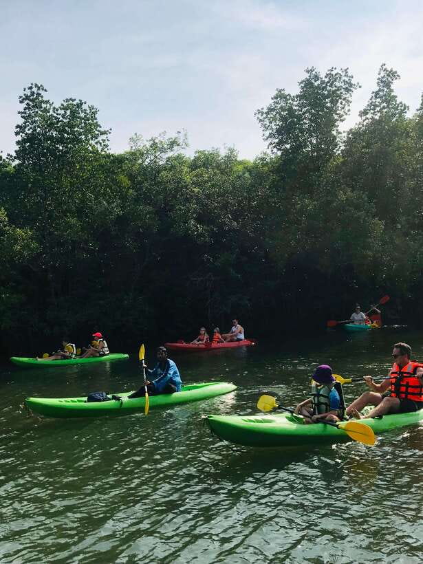 Ko Lanta: Half-Day Mangrove Kayaking Tour with Lunch - Who will enjoy this tour most