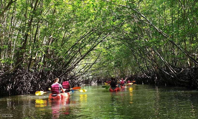 Ko Lanta: Half-Day Mangrove Kayaking Tour with Lunch - Paddling into Ban Thung Yee Peng