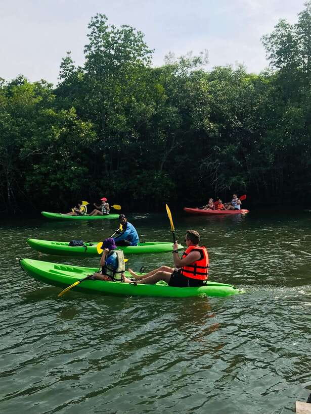 Ko Lanta: Half-Day Mangrove Kayaking Tour with Lunch - What the $26 price really gets you