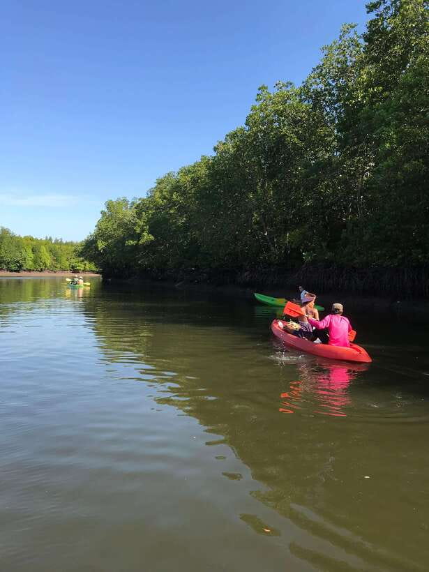 Ko Lanta: Half-Day Mangrove Kayaking Tour with Lunch - Morning or afternoon, and what to wear