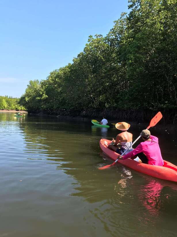 Ko Lanta: Half-Day Mangrove Kayaking Tour with Lunch - Hotel pickup and the short ride to Tung Yee Peng Pier