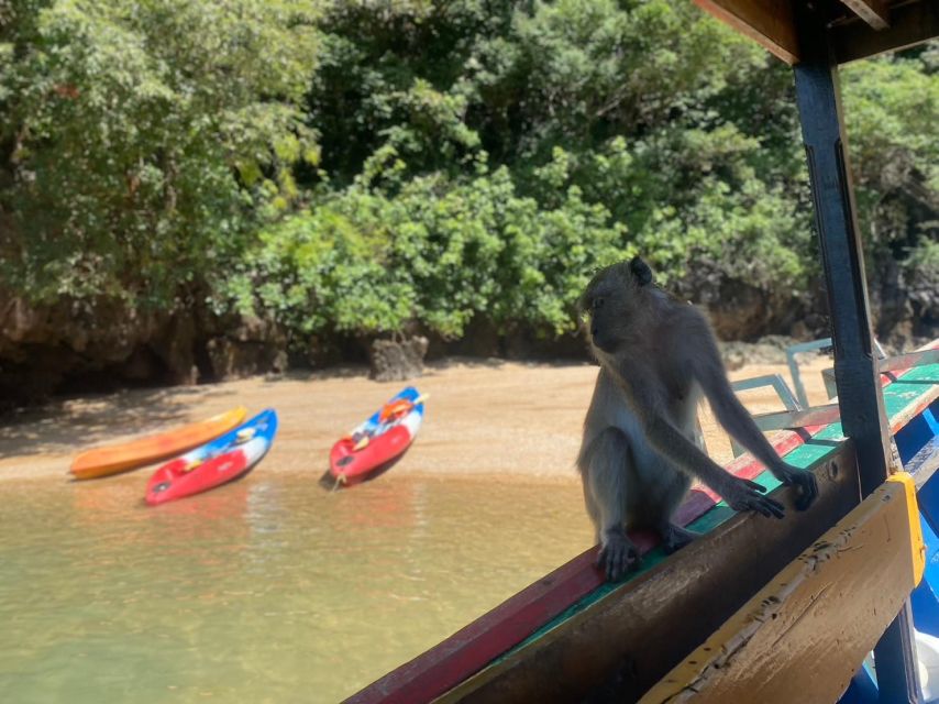 Ko Lanta: Mangrove Kayaking, Ko Talabeng, & Skull Island - Why this Ko Lanta day feels different