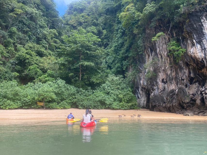 Ko Lanta: Mangrove Kayaking, Ko Talabeng, & Skull Island - Should you book the Ko Lanta kayaking and Skull Island tour?