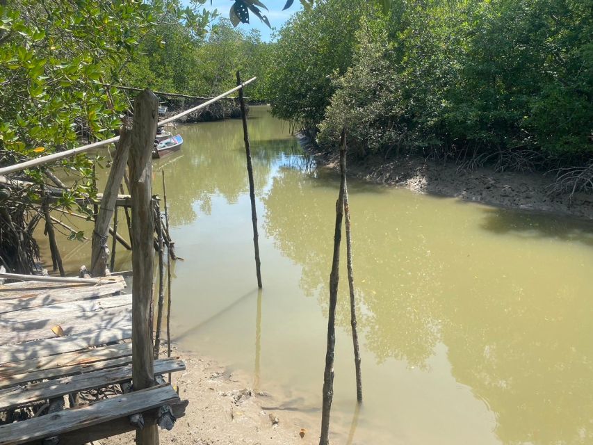 Ko Lanta: Mangrove Kayaking, Ko Talabeng, & Skull Island - Monkeys, photographs, and the guide’s personality
