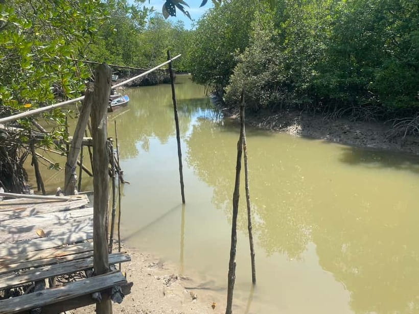 Ko Lanta: Mangrove Kayaking, Ko Talabeng, & Skull Island - What to pack for this active day