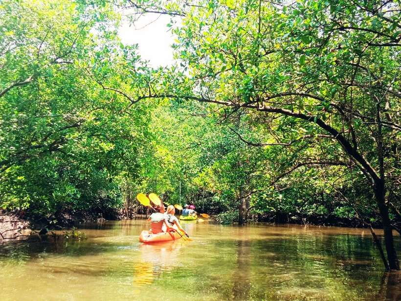 Ko Lanta: Mangrove Kayaking with Lunch and Hotel Transfer - Key points to know before you go