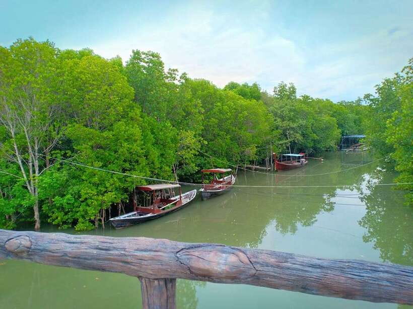 Ko Lanta: Mangrove Kayaking with Lunch and Hotel Transfer - What the $27 price really covers