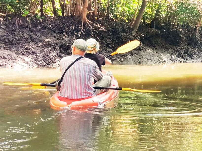 Ko Lanta: Mangrove Kayaking with Lunch and Hotel Transfer - Morning or afternoon: which departure suits you?