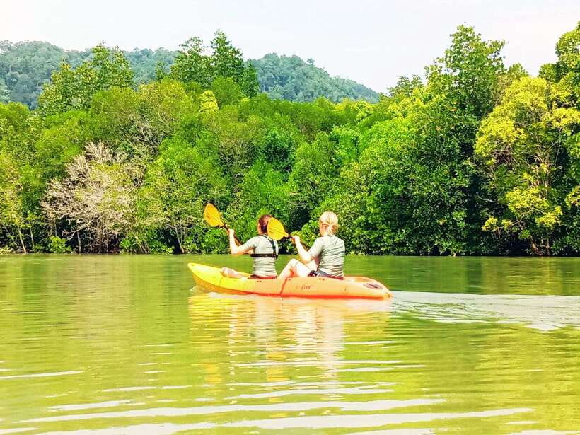 Ko Lanta: Mangrove Kayaking with Lunch and Hotel Transfer - Pickup times from Ko Lanta hotels