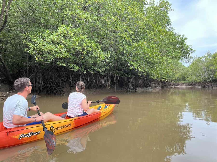 Koh Lanta: Amazon Mangrove Kayaking Tour With Lunch - What to bring and how to prepare