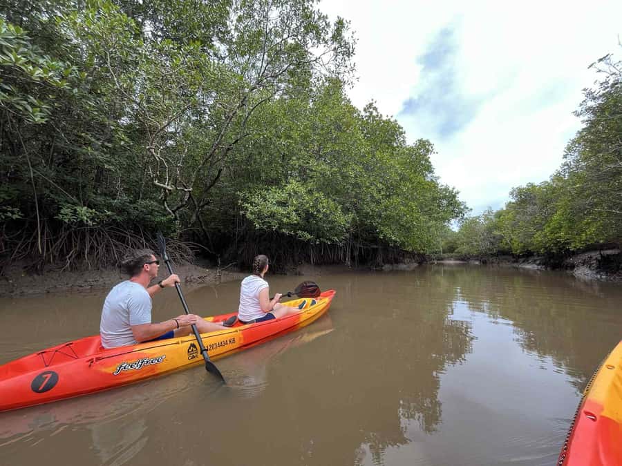 Koh Lanta: Amazon Mangrove Kayaking Tour With Lunch - Paddling beneath the mangrove canopy