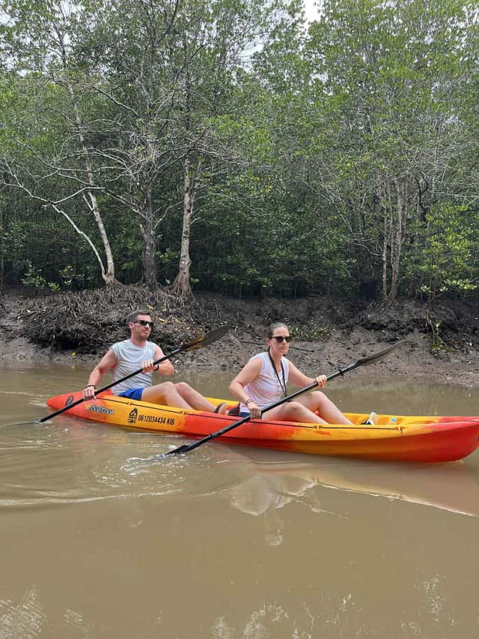 Koh Lanta: Amazon Mangrove Kayaking Tour With Lunch - What you might see in the mangroves