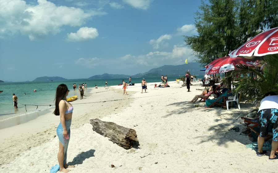 Koh Samui: Snorkeling and Kayaking by Speedboat - Koh Tan snorkeling over protected coral