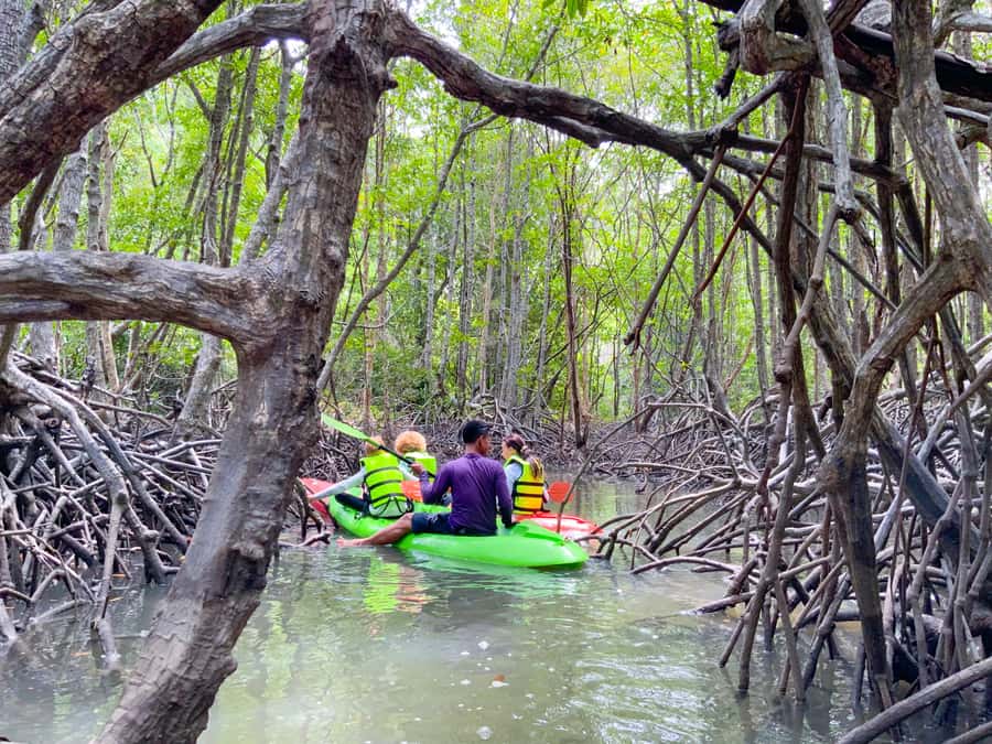 Koh Yao Yai: Klong Hia Mangrove Kayaking - What makes this Koh Yao Yai outing worth three hours