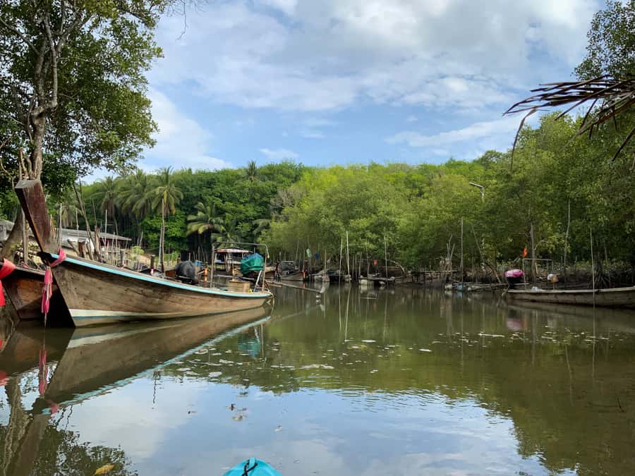Koh Yao Yai: Klong Hia Mangrove Kayaking - My verdict on Klong Hia Mangrove Kayaking