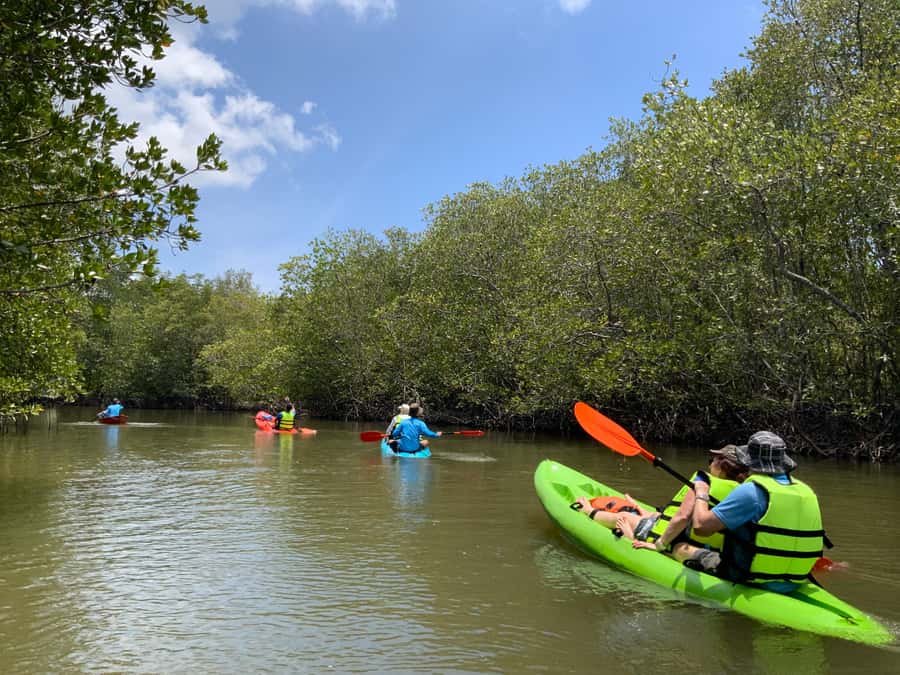 Koh Yao Yai: Klong Hia Mangrove Kayaking - The 90-minute paddle: what it feels like