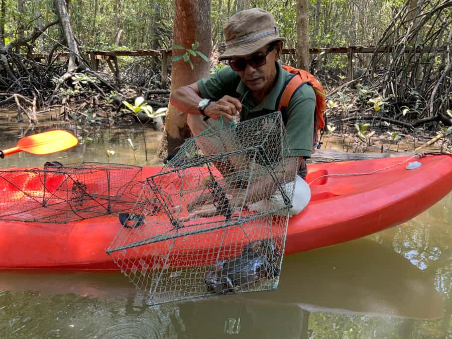Koh Yao Yai: Klong Hia Mangrove Kayaking - Tide times and pickup details matter