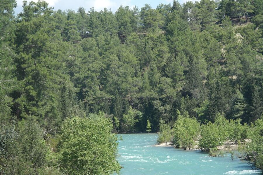 Koprulu Canyon: River Kayaking Experience with Lunch - The optional zipline and photo stops