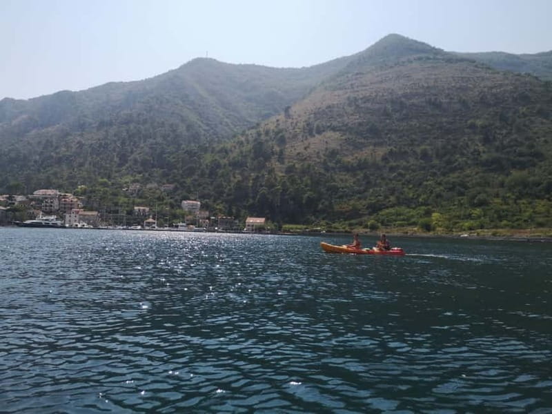 Kotor: Guided Kotor Bay Kayaking Tour - Key points to know before booking
