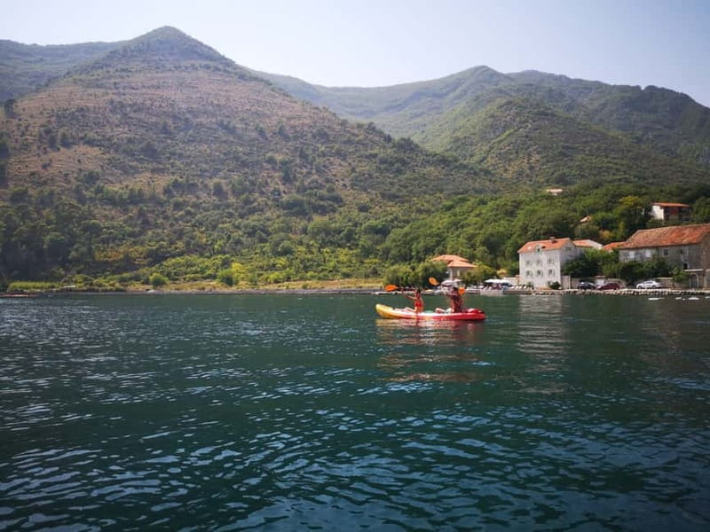Kotor: Guided Kotor Bay Kayaking Tour - What the $42 price includes
