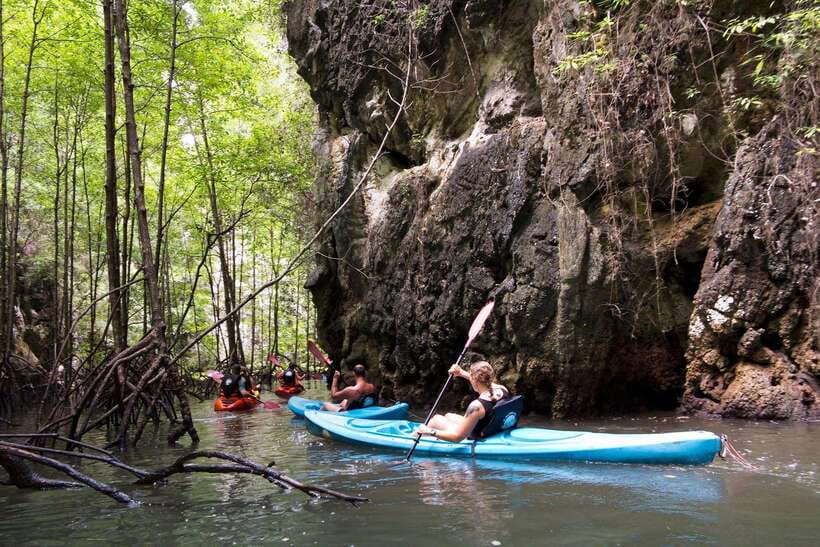 Krabi: A Kayaking Odyssey through Din Daeng Mangrove Maze - Key Points Before You Book