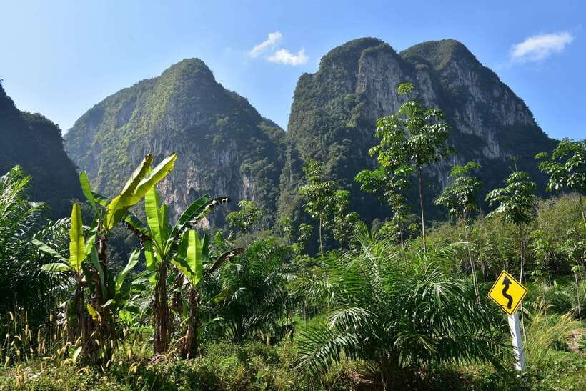 Krabi: A Kayaking Odyssey through Din Daeng Mangrove Maze - What the $32 Price Covers
