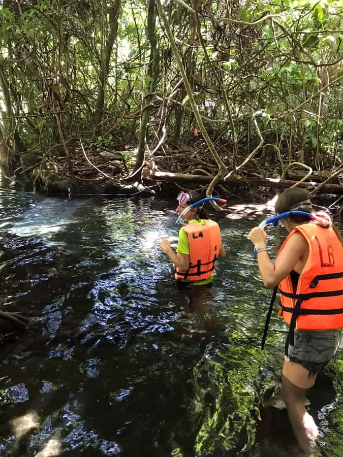 Krabi: Amazon Klong Srakaew Kayaking With Lunch - Kayaking across the crystal lagoon