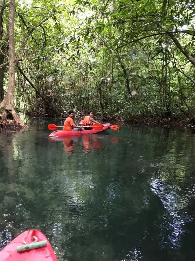 Krabi: Amazon Klong Srakaew Kayaking With Lunch - A simple lunch after the water