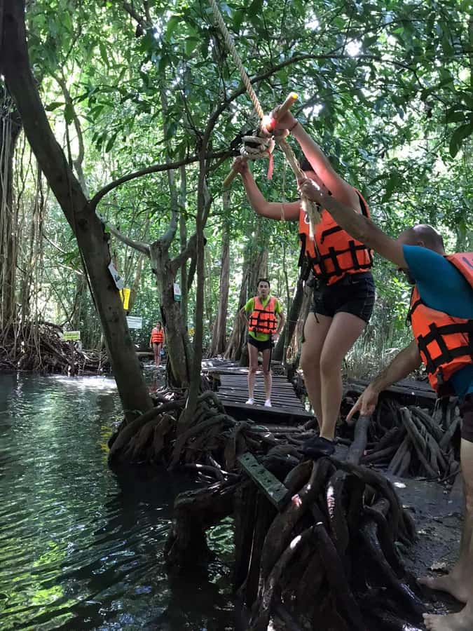 Krabi: Amazon Klong Srakaew Kayaking With Lunch - The elephant confusion matters